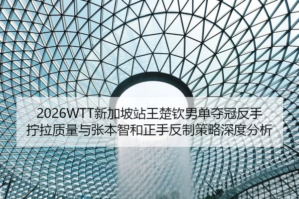 2026WTT新加坡站王楚钦男单夺冠反手拧拉质量与张本智和正手反制策略深度分析