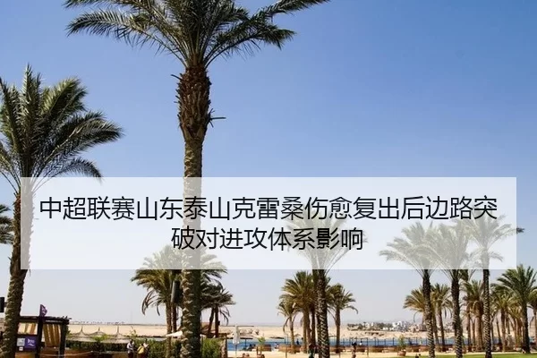 zhong-chao-lian-sai-shan-dong-tai-shan-ke-lei-sang-shang-yu-fu-chu-hou-bian-lu-tu-po-dui-jin-gong-ti-xi-ying-xiang-2-527.jpg